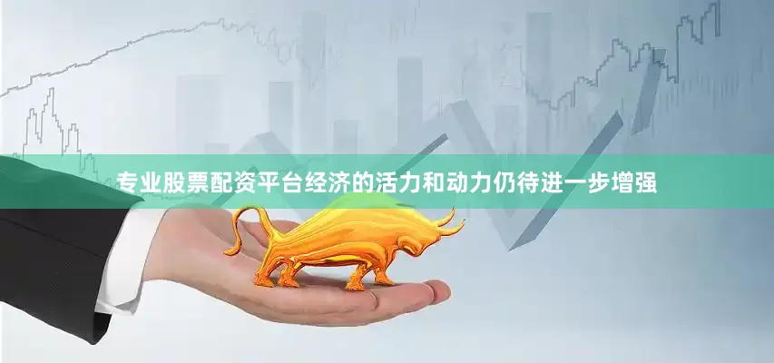 专业股票配资平台经济的活力和动力仍待进一步增强